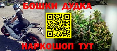 ПСИЛОЦИБИНОВЫЕ ГРИБЫ Беслан