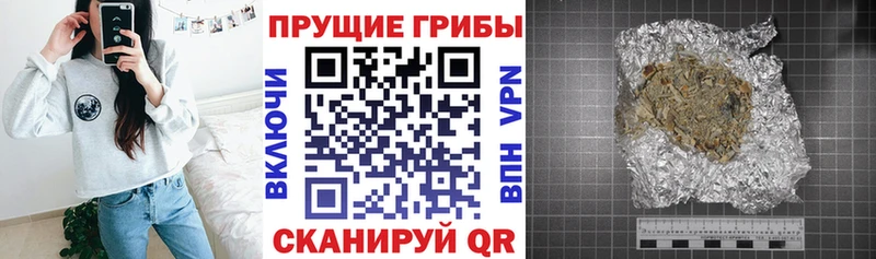 где купить наркоту  Кизилюрт  OMG вход  Галлюциногенные грибы MAGIC MUSHROOMS 