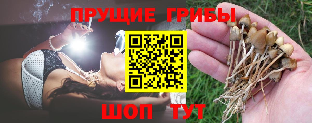 Кизилюрт  Псилоцибиновые грибы Magic Shrooms  Вход с VPN 